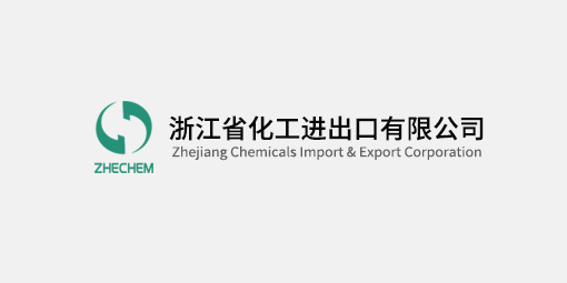 主題教育進(jìn)行時(shí)丨浙江化工黨委書記、董事長顏雷翔開展主題教育“大調(diào)研”活動